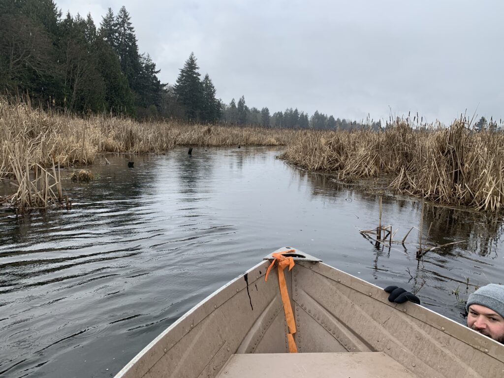 boating Flett Creek